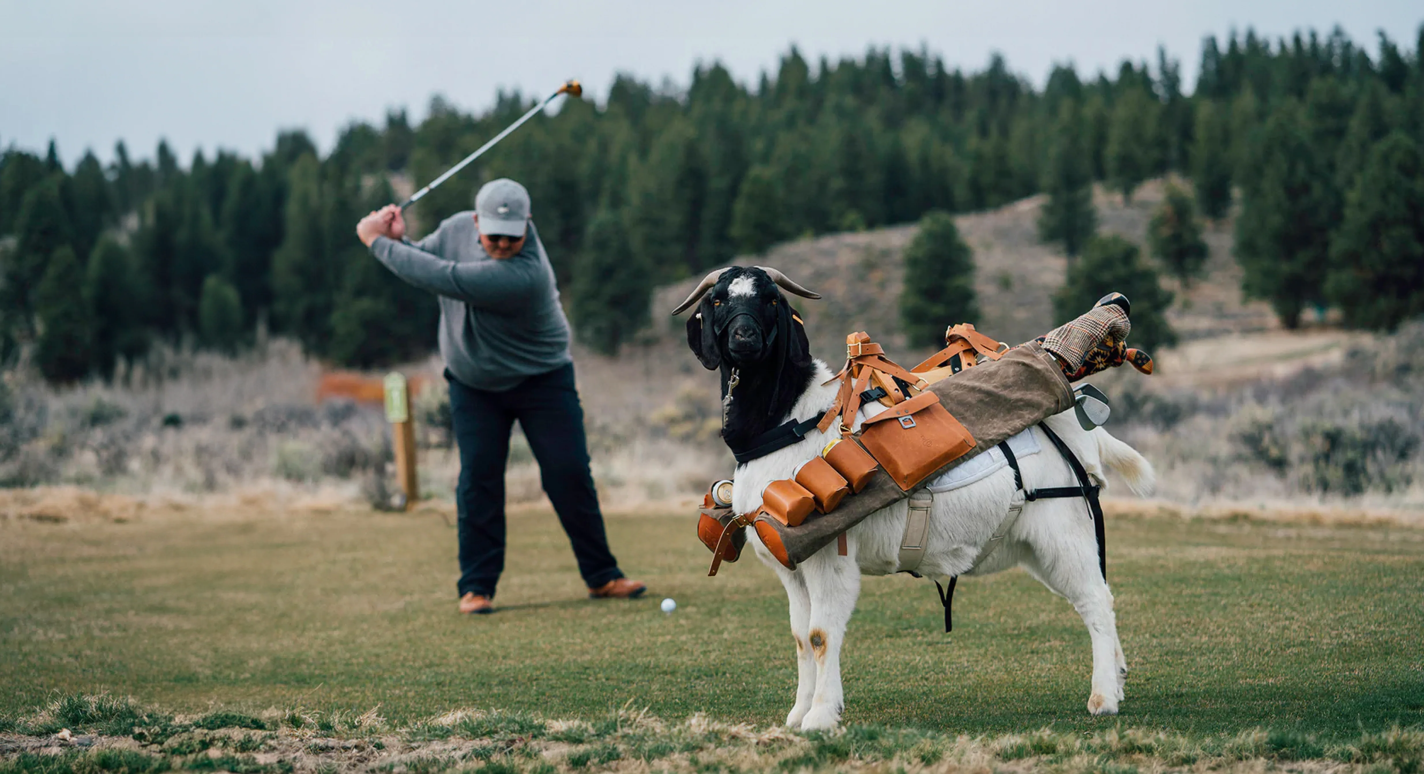 Timeless Craftsmanship for Every Round